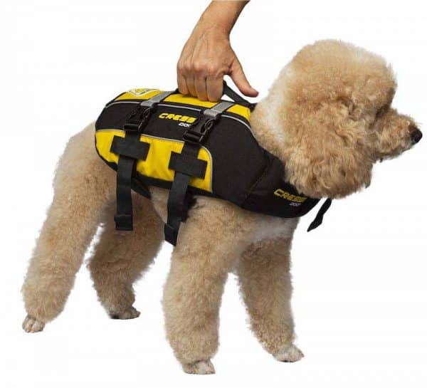 cressi-dog-salvagente-per-cani-dog-life-jacket-poodle-barboncino_1