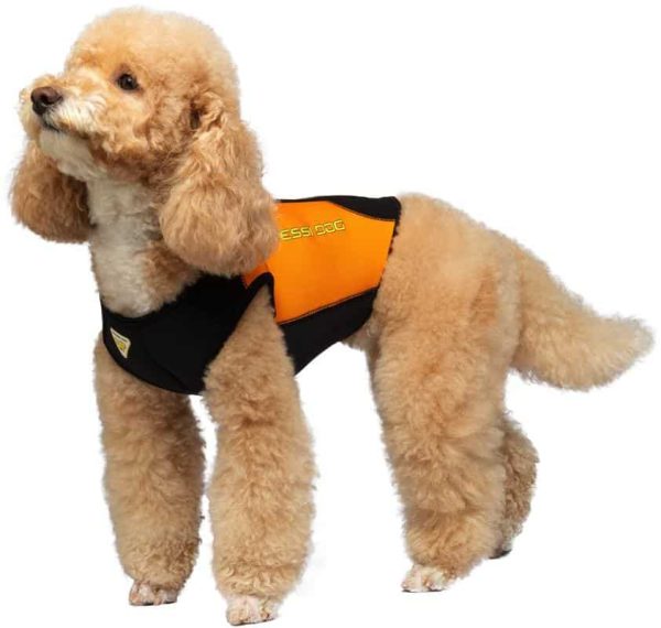 cressi-dog-wetsuit-muta-in-neoprene-per-cani