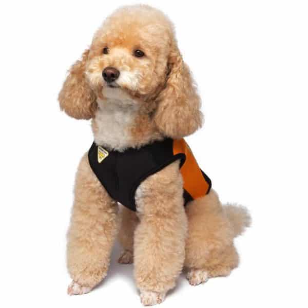 cressi-dog-wetsuit-muta-in-neoprene-per-cani