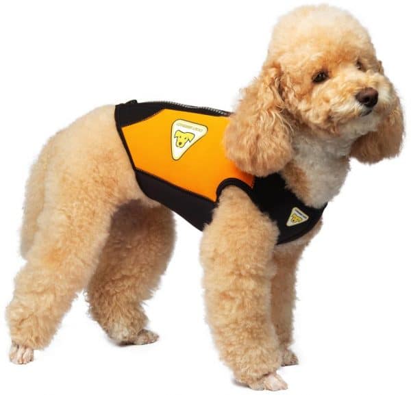 cressi-dog-wetsuit-muta-in-neoprene-per-cani
