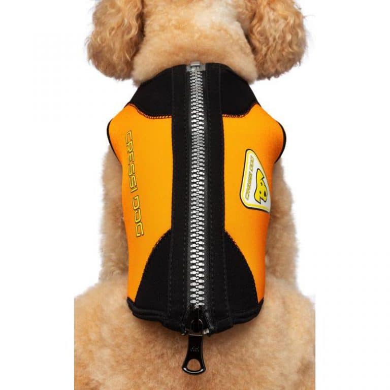 Cressi Cressi Dog Wetsuit Neoprene wetsuit for dogs Small size