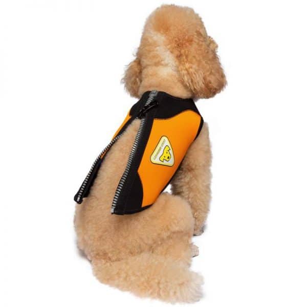 cressi-dog-wetsuit-muta-in-neoprene-per-cani