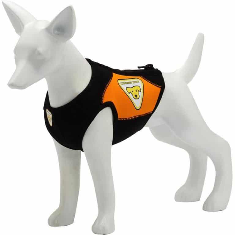 Cressi Cressi Dog Wetsuit Neoprene wetsuit for dogs Small size