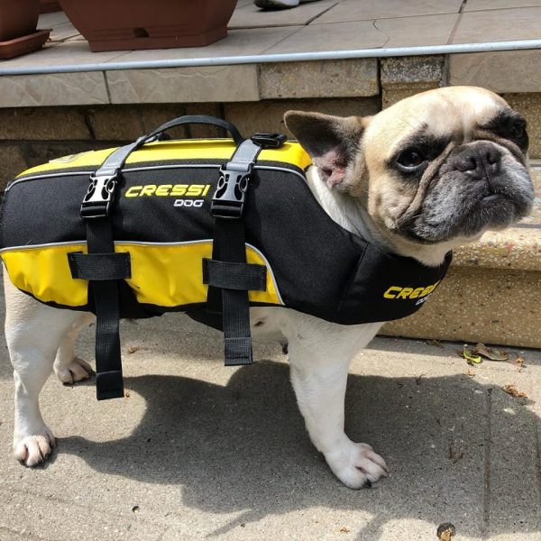 cressi-dog-giubbotto-salvagente-per-cani-dog-life-jacket