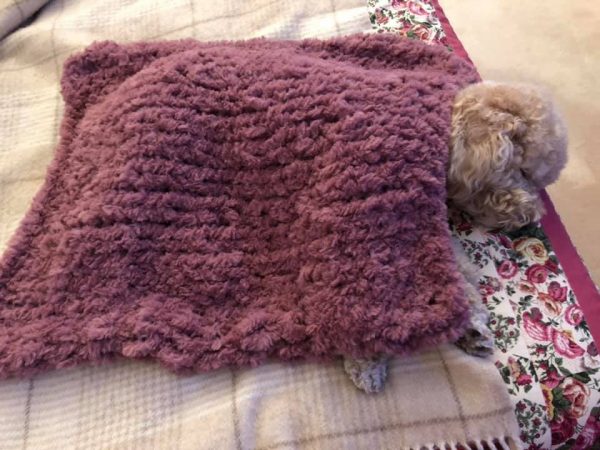 coperta cane gatto pelliccia sintetica filati Mondial