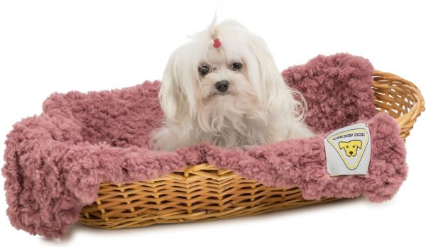 furry dog coperta per cani cressi dog filati mondial rosa malva gatto eco pelliccia filati Mondial